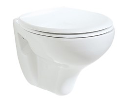 Creavit TP320 Asma Klozet