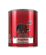 Kapatan Sentetik Leke Örtücü Boya 2,5 Lt.